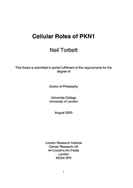 Cellular Roles of PKN1