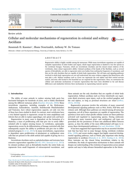 Cellular and Molecular Mechanisms of Regeneration in Colonial and Solitary MARK Ascidians ⁎ Susannah H