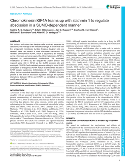 Chromokinesin KIF4A Teams up with Stathmin 1 to Regulate Abscission in a SUMO-Dependent Manner Sabine A