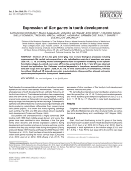 Expression of Sox Genes in Tooth Development