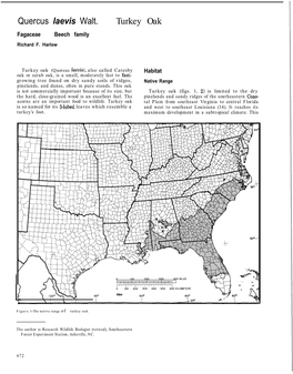 Quercus Laevis Walt. Turkey Oak Fagaceae Beech Family Richard F