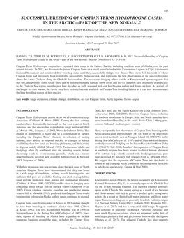 Successful Breeding of Caspian Terns Hydroprogne Caspia in the Arctic—Part of the New Normal?