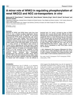 A Minor Role of WNK3 in Regulating Phosphorylation of Renal NKCC2 and NCC Co-Transporters in Vivo