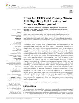 Roles for IFT172 and Primary Cilia in Cell Migration, Cell Division, and Neocortex Development