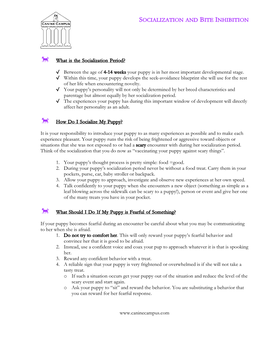 Socialization and Bite Inhibition