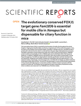 The Evolutionary Conserved FOXJ1 Target Gene Fam183b Is Essential for Motile Cilia in Xenopus but Dispensable for Ciliary Functi