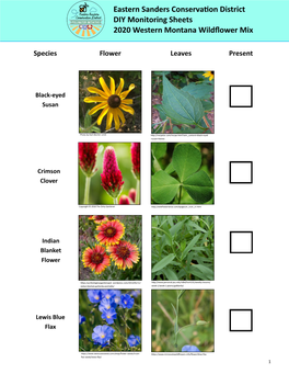 Eastern Sanders Conservation District DIY Monitoring Sheets 2020 Western Montana Wildflower Mix