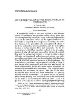 On the Morphology of the Renal Tubules of Vertebrates