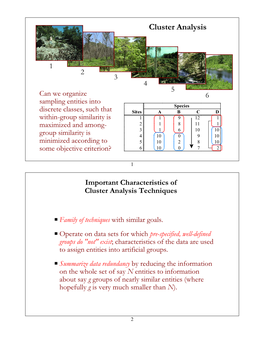 Cluster Analysis