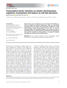 Transcription Factor Retention on Mitotic Chromosomes: Regulatory Mechanisms and Impact on Cell Fate Decisions Mahe Raccaud and David M