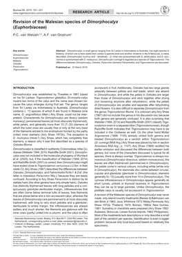 Revision of the Malesian Species of Dimorphocalyx (Euphorbiaceae)