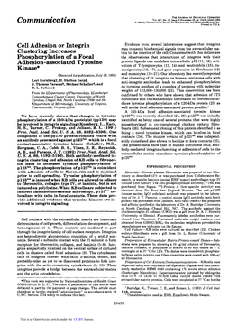 Cell Adhesion Or Integrin Clustering Increases Phosphorylation of A