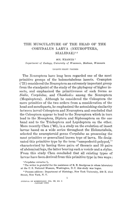The Musculature of the Head of the Corydalus Larva (Neuroptera, Sialidae)
