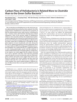 Carbon Flow of Heliobacteria Is Related More