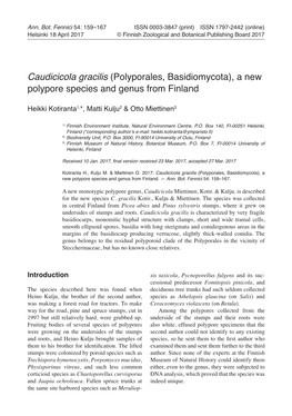 Polyporales, Basidiomycota), a New Polypore Species and Genus from Finland