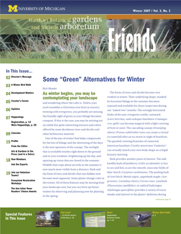 Some “Green” Alternatives for Winter