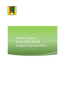 RAPORT O Stanie Gminy DĘBE WIELKIE Na Dzień 31 Grudnia 2020 R