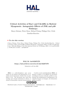 Critical Activities of Rac1 and Cdc42hs in Skeletal Myogenesis