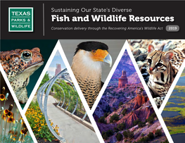 Sustaining Our State's Diverse Fish and Wildlife Resources: Conservation Delivery Through the Recovering America's Wildl
