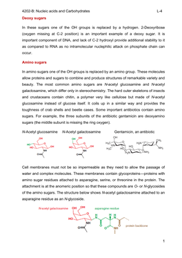 4202-B: Nucleic Acids and Carbohydrates L-4 1 Deoxy Sugars