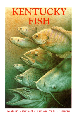 Kentucky Fish Idbook