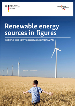 Renewable Energy Sources in Figures National and International Development, 2018 Imprint