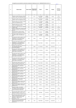 Zał Nr 1-Opis Przedmiotu-2 Cz Geod B