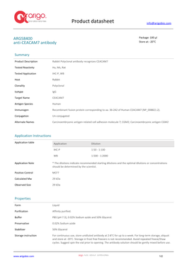 Anti-CEACAM7 Antibody (ARG58400)