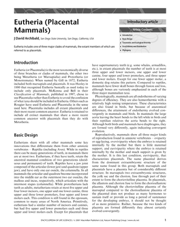 Eutheria (Placental Mammals)