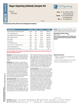 Hippo Signaling Antibody Sampler