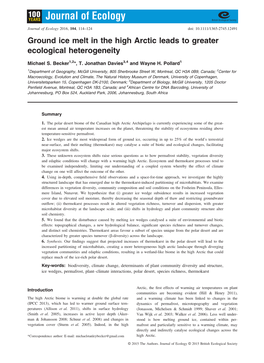 Ground Ice Melt in the High Arctic Leads to Greater Ecological Heterogeneity