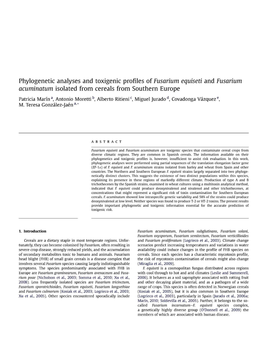 Phylogenetic Analyses and Toxigenic Profiles of Fusarium Equiseti and Fusarium Acuminatum Isolated from Cereals from Southern Eu