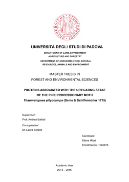 Università Degli Studi Di Padova