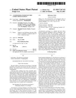 (12) United States Plant Patent (10) Patent No.: US PP17,767 P3 Zengji Et Al