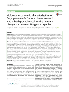 Dasypyrum Breviaristatum