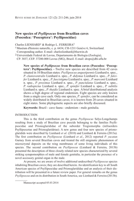 New Species of Psyllipsocus from Brazilian Caves (Psocodea: ‘Psocoptera’: Psyllipsocidae)