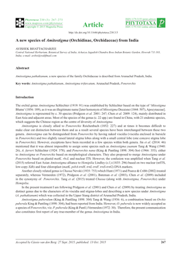 A New Species of Amitostigma (Orchidinae, Orchidaceae) from India