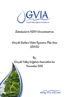 Submission to NSW Government On: Gwydir Surface Water Resource Plan Area (SW15) By: Gwydir Valley Irrigators Association Inc
