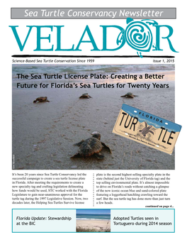 Sea Turtle Conservancy Newsletter