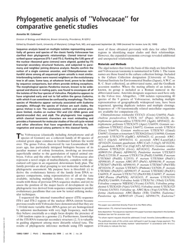 Phylogenetic Analysis of ''Volvocacae'