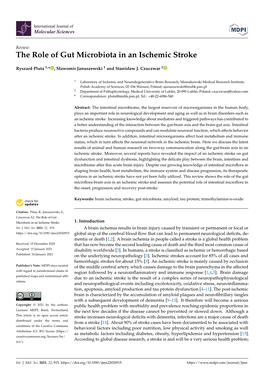 The Role of Gut Microbiota in an Ischemic Stroke