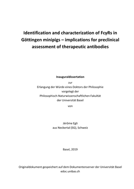 Identification and Characterization of Fcγrs in Göttingen Minipigs – Implications for Preclinical Assessment of Therapeutic Antibodies