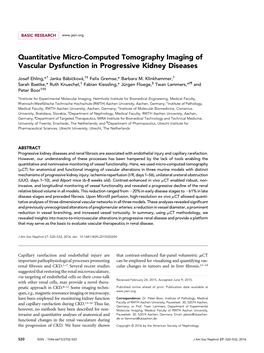 Quantitative Micro-Computed Tomography Imaging of Vascular Dysfunction in Progressive Kidney Diseases