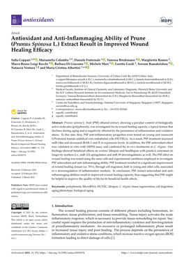 Antioxidant and Anti-Inflammaging Ability of Prune (Prunus Spinosa