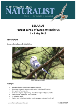 BELARUS Forest Birds of Deepest Belarus 1 – 8 May 2016