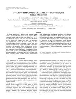 Effects of Temperature on Escape Jetting in the Squid Loligo Opalescens