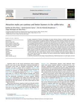 Attractive Males Are Cautious and Better Learners in the Sailfin Tetra