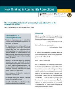 The Future of Youth Justice: a Community-Based Alternative to the Youth Prison Model Patrick Mccarthy, Vincent Schiraldi, and Miriam Shark