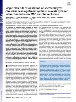 Single-Molecule Visualization of Saccharomyces Cerevisiae Leading-Strand Synthesis Reveals Dynamic Interaction Between MTC and the Replisome