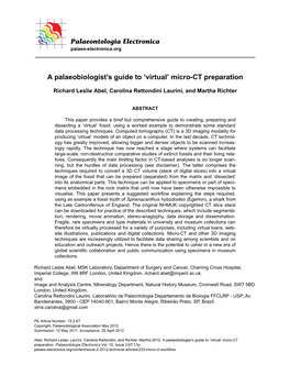 A Palaeobiologist's Guide to 'Virtual' Micro-CT Preparation